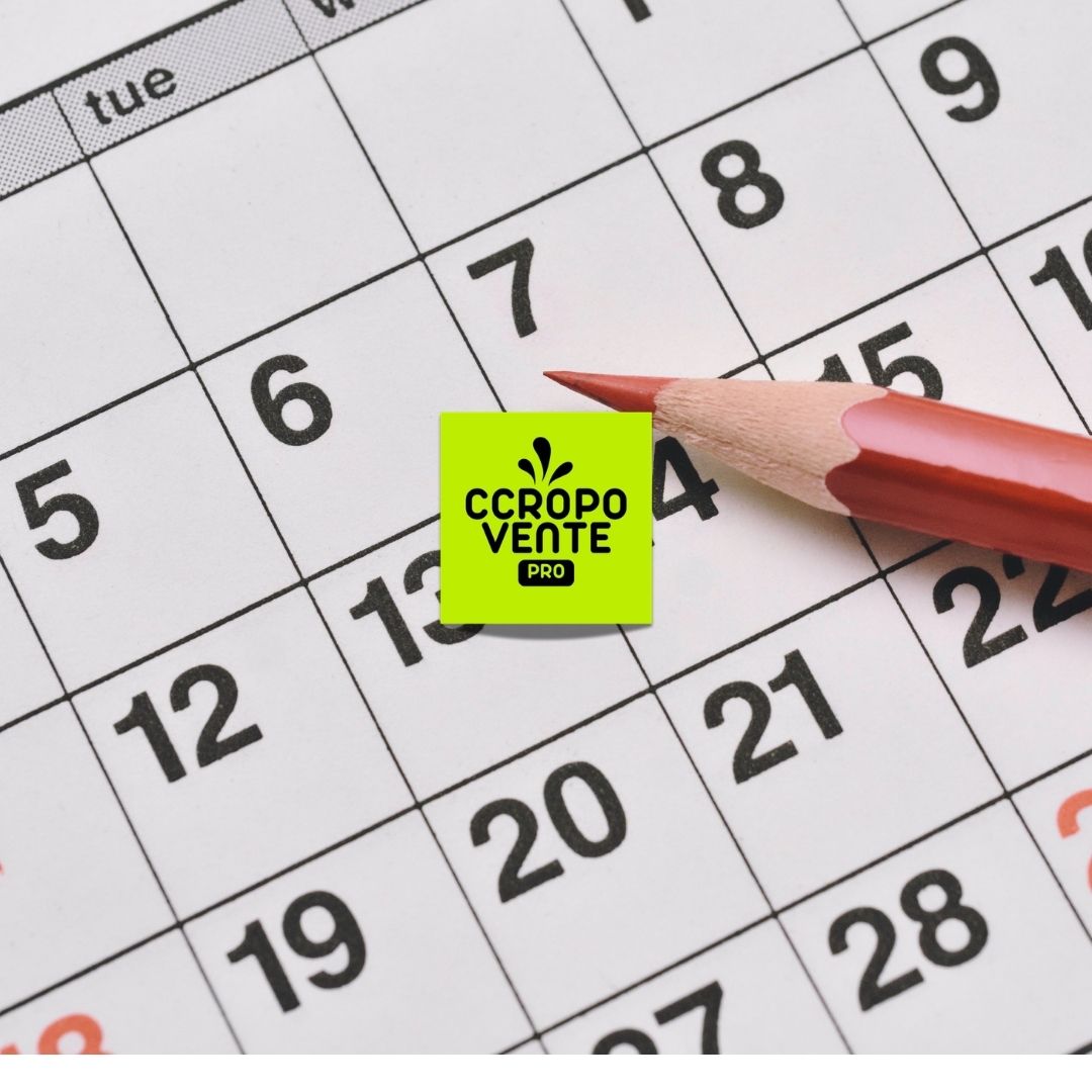 Planning workshops Ccropo Vente Start